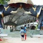 images (86), Dhekiakhowa Bornamghar, Jorhat, Assam