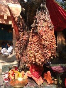 img-20181116-124503-largejpg, Kalyaneshwari Temple, Paschim Bardhaman, West Bengal