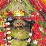 maa-ugra-tara-bhusandpur-maa-green, Maa Ugra Tara, Khordha, Odisha
