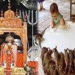 maxresdefault (70), Karni Mata Temple, Bikaner, Rajasthan