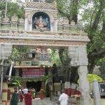 v__processed_original, Dodda Basavana Gudi, Bengaluru, Karnataka