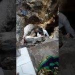 ARDH KUWA, Ardh kuwari cave, Katra