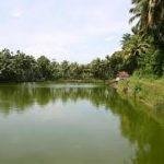 Kadavallur Sreerama, Kadavallur Sreeraman Temple, Thrissur, Kerala