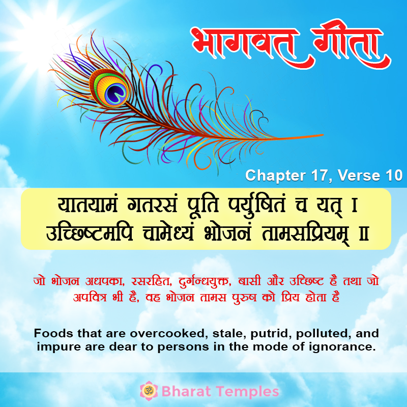 10 (17), Bhagavad Gita: Chapter 17, Verse 10