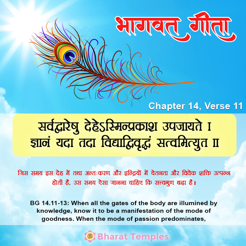 11 (15), Bhagavad Gita: Chapter 14, Verse 11