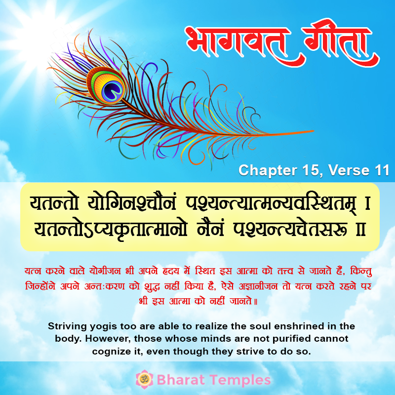 11 (17), Bhagavad Gita: Chapter 15, Verse 11