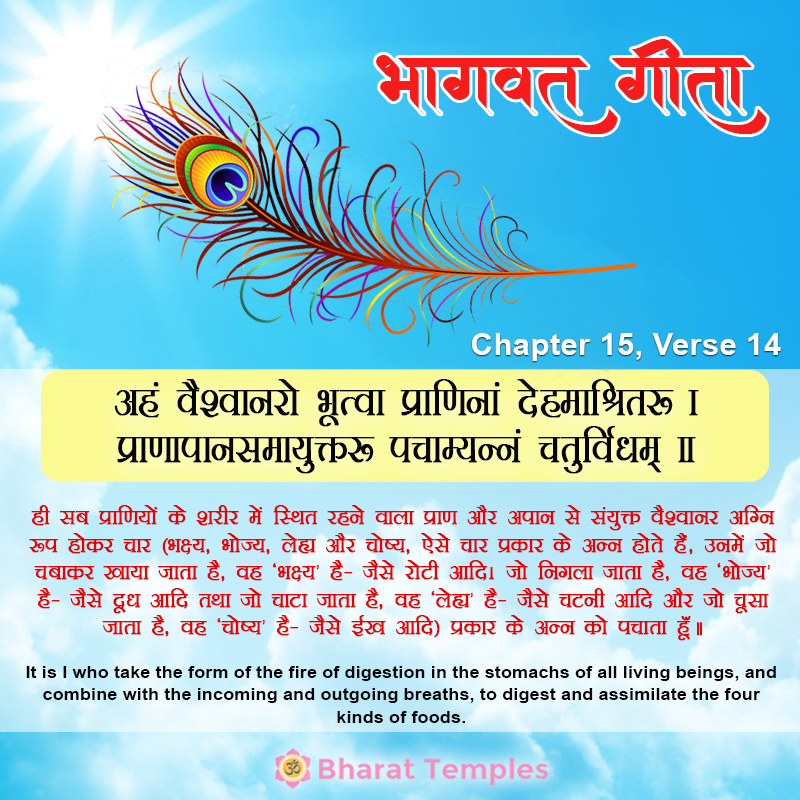 14 (14), Bhagavad Gita: Chapter 15, Verse 14