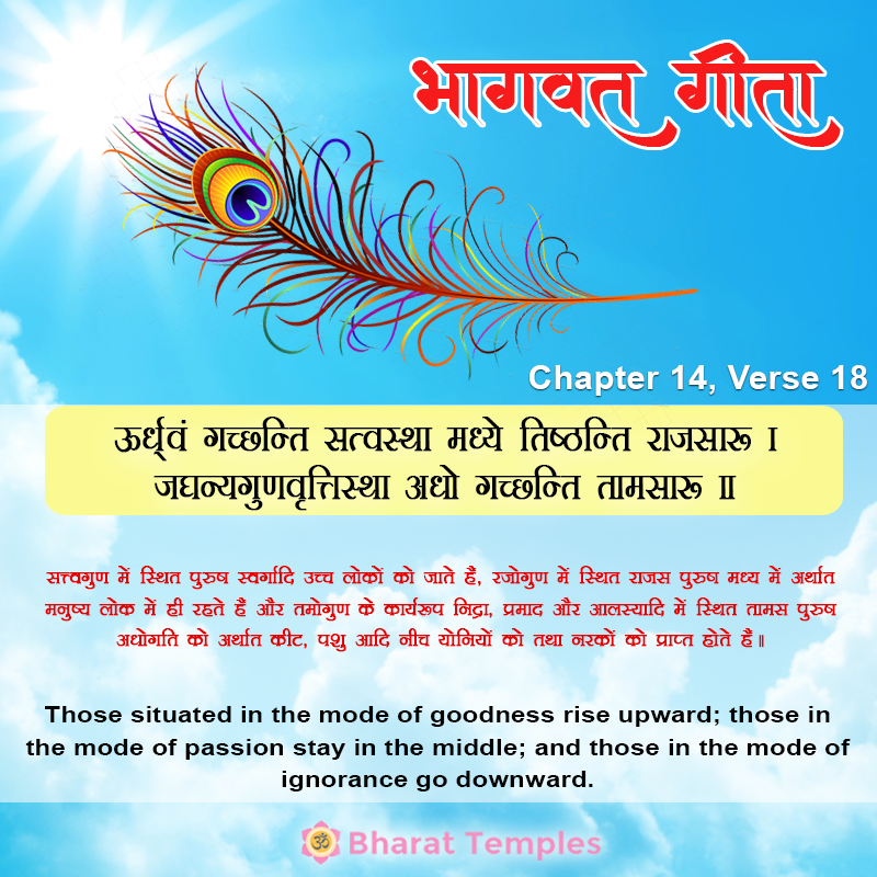 18 (16), Bhagavad Gita: Chapter 14, Verse 18