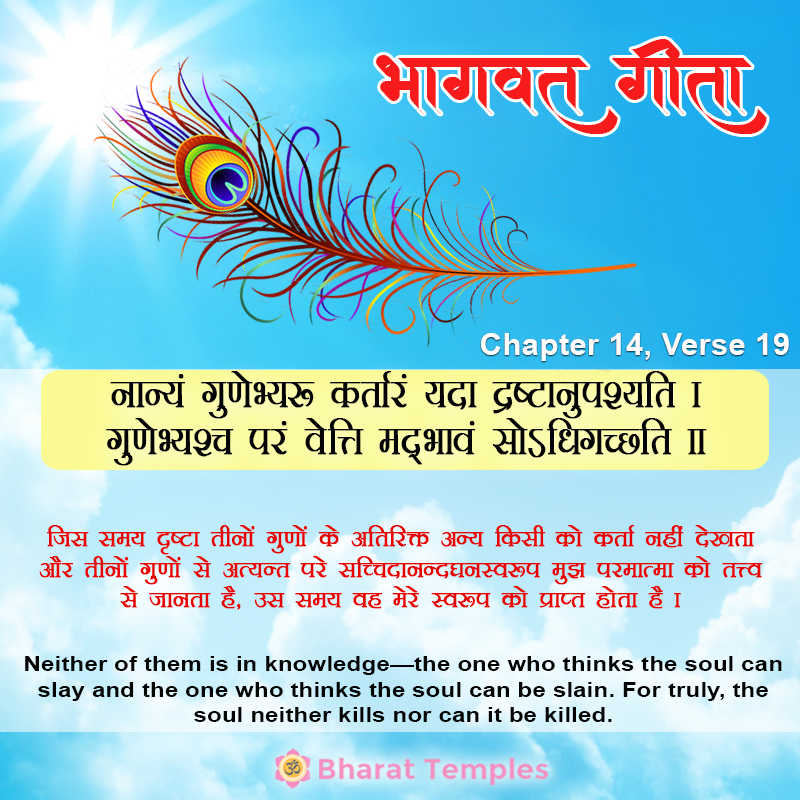 19 (12), Bhagavad Gita: Chapter 14, Verse 19
