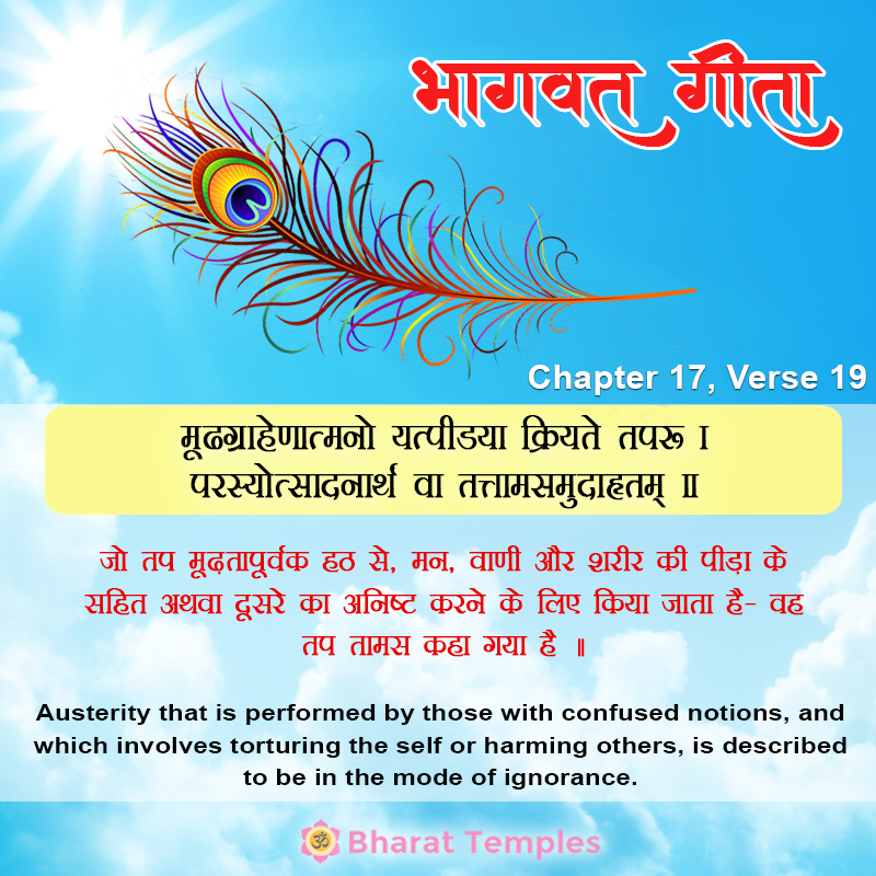 19 (17), Bhagavad Gita: Chapter 17, Verse 19