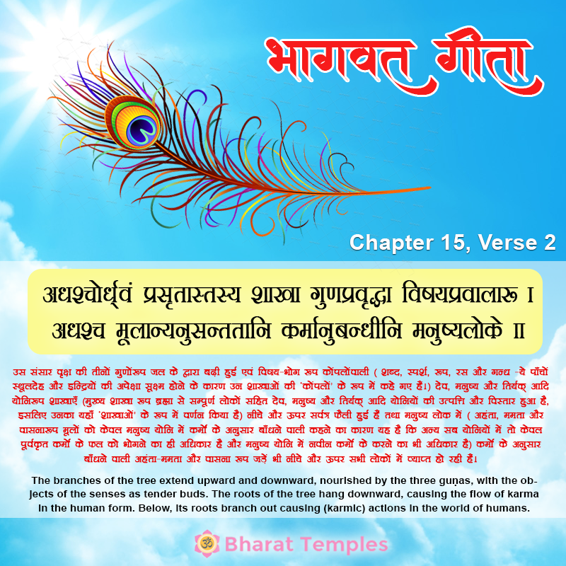 2 (15), Bhagavad Gita: Chapter 15, Verse 2