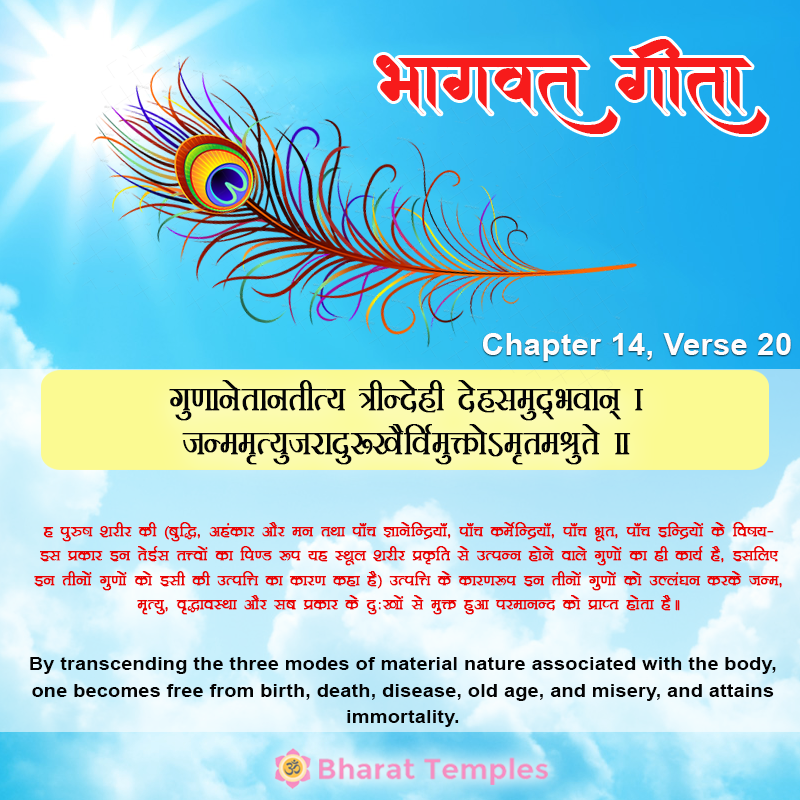 20 (14), Bhagavad Gita: Chapter 14, Verse 20