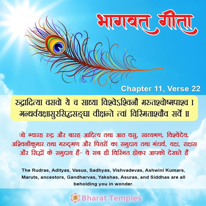 रुद्रादित्या वसवो ये च साध्याविश्वेऽश्विनौ मरुतश्चोष्मपाश्च ।गंधर्वयक्षासुरसिद्धसङ्‍घावीक्षन्ते त्वां विस्मिताश्चैव सर्वे ॥