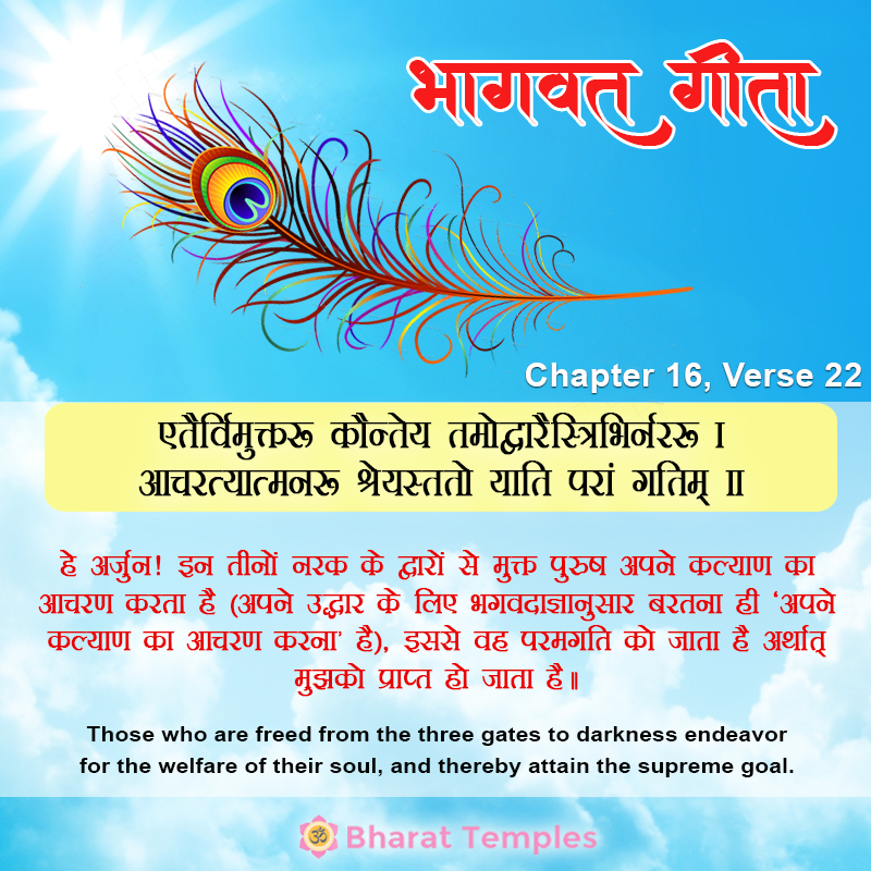 22 (14), Bhagavad Gita: Chapter 16, Verse 22
