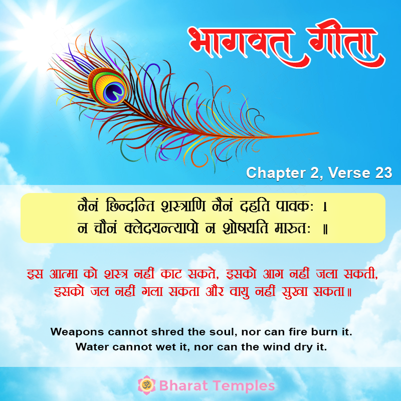 नैनं छिन्दन्ति शस्त्राणि नैनं दहति पावकः ।न चैनं क्लेदयन्त्यापो न शोषयति मारुतः ॥