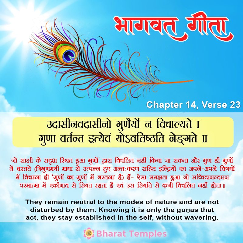 23 (12), Bhagavad Gita: Chapter 14, Verse 23