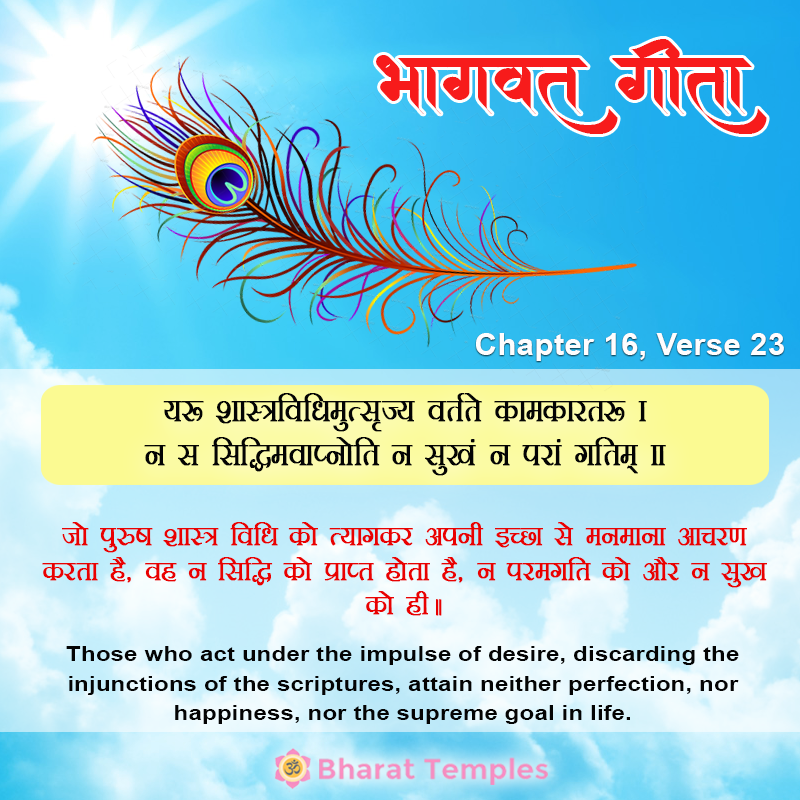 23 (14), Bhagavad Gita: Chapter 16, Verse 23