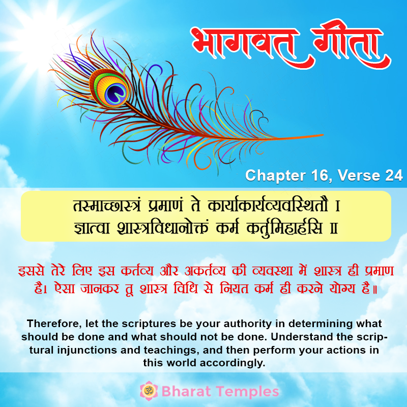 24 (15), Bhagavad Gita: Chapter 16, Verse 24