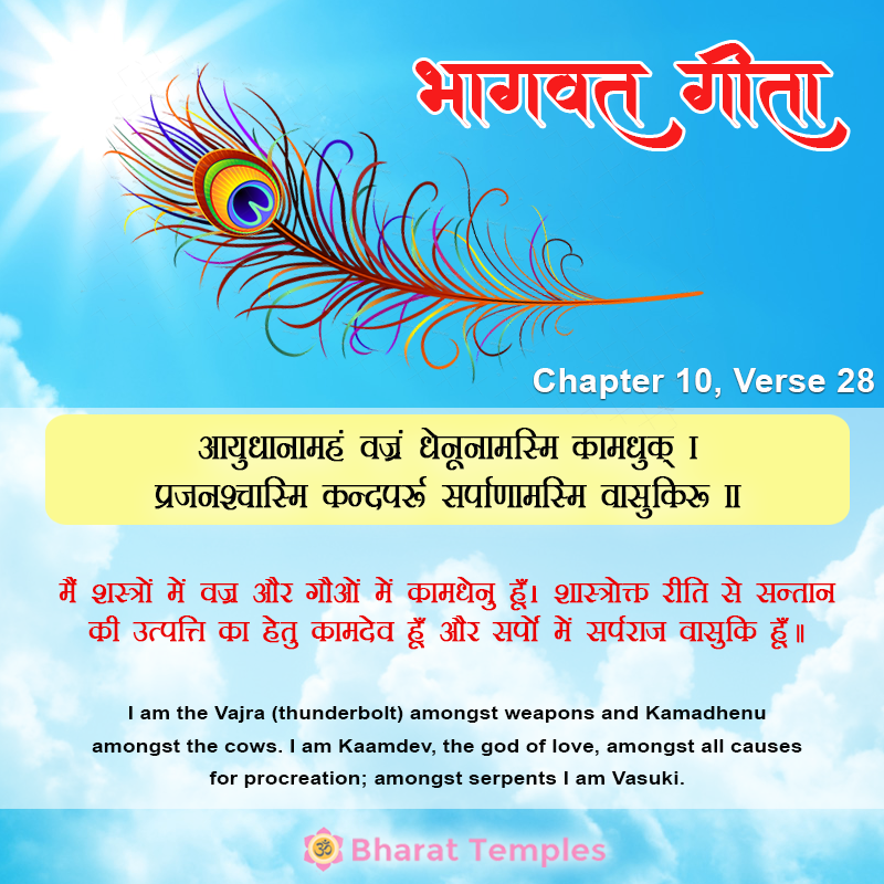 आयुधानामहं वज्रं धेनूनामस्मि कामधुक् ।प्रजनश्चास्मि कन्दर्पः सर्पाणामस्मि वासुकिः ॥