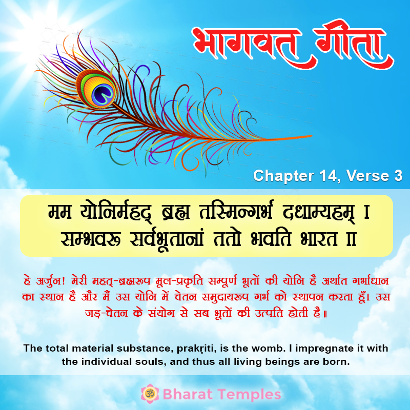 3 (14), Bhagavad Gita: Chapter 14, Verse 3