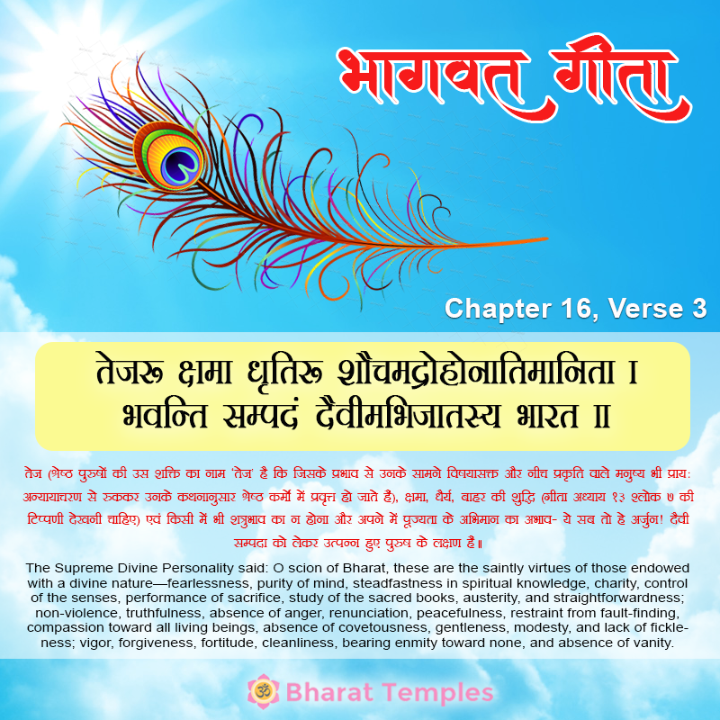 3 (17), Bhagavad Gita: Chapter 16, Verse 3