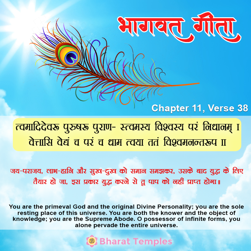 त्वमादिदेवः पुरुषः पुराणस्त्वमस्य विश्वस्य परं निधानम्‌ ।वेत्तासि वेद्यं च परं च धाम त्वया ततं विश्वमनन्तरूप । ।