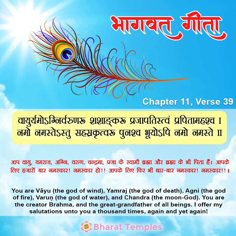 39 (8), Bhagavad Gita: Chapter 11, Verse 39
