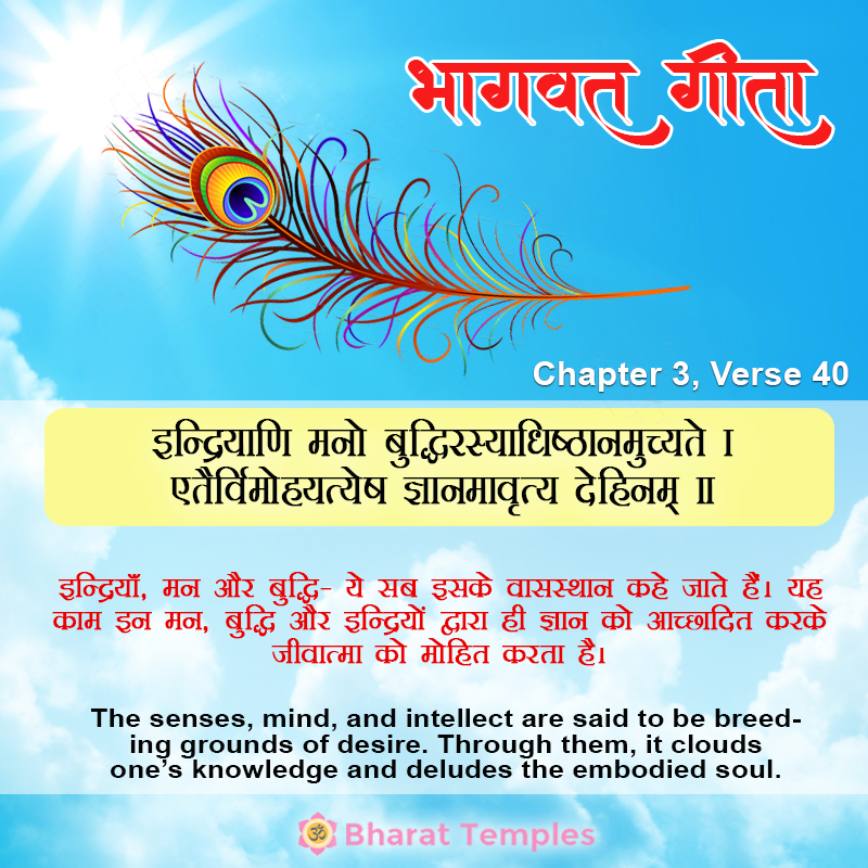 40 (2), Bhagavad Gita: Chapter 3, Verse 40