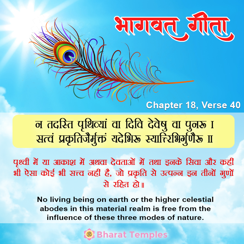 40 (7), Bhagavad Gita: Chapter 18, Verse 40
