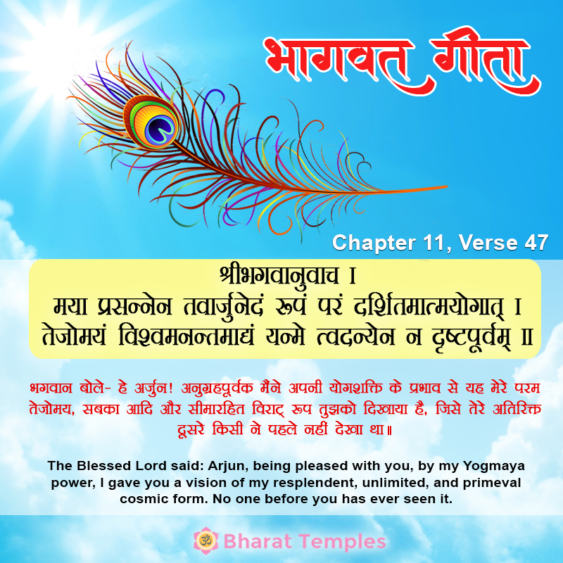 47 (3), Bhagavad Gita: Chapter 11, Verse 47