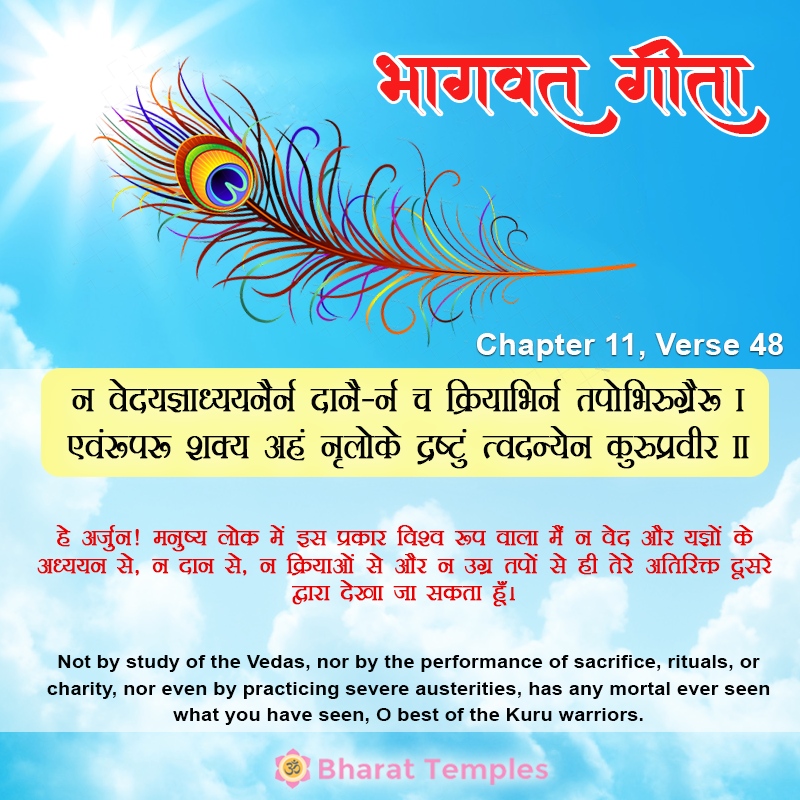 48 (1), Bhagavad Gita: Chapter 11, Verse 48