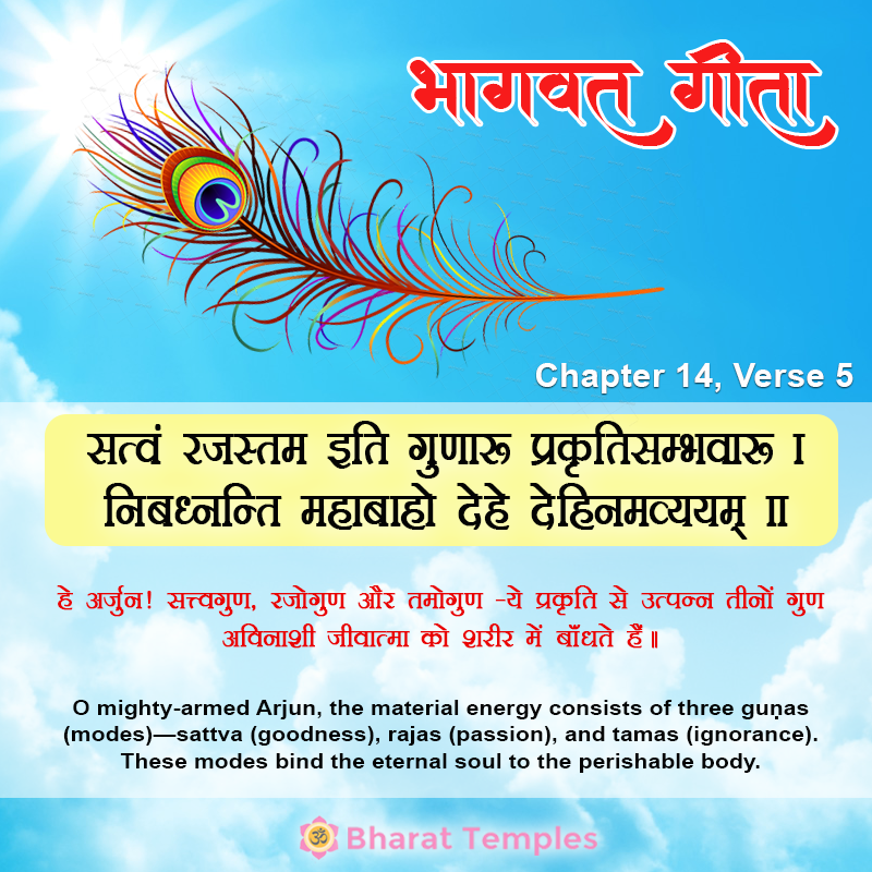 5 (13), Bhagavad Gita: Chapter 14, Verse 5
