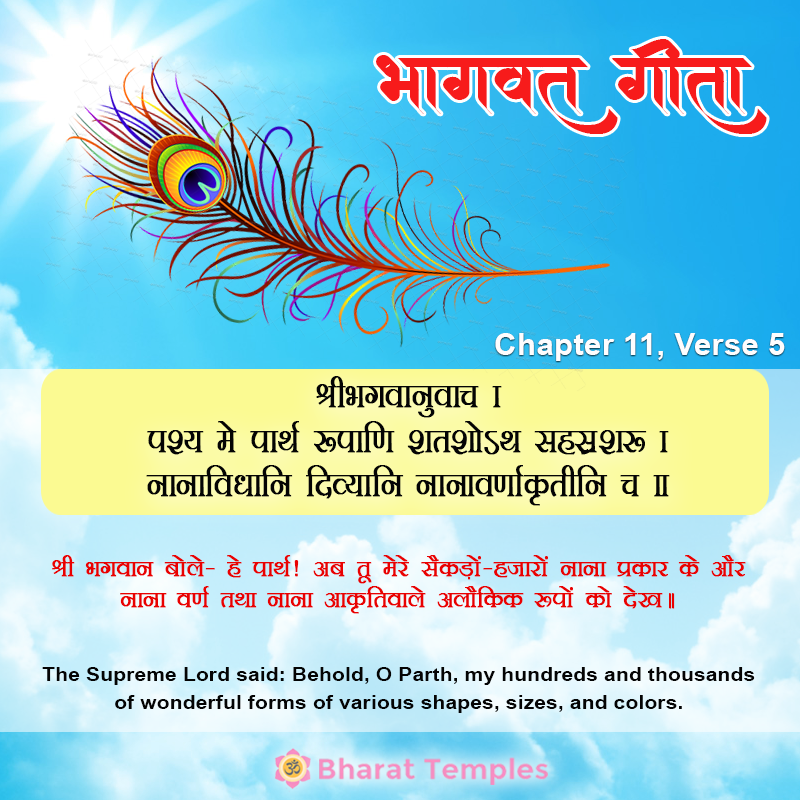 5 (21), Bhagavad Gita: Chapter 11, Verse 5