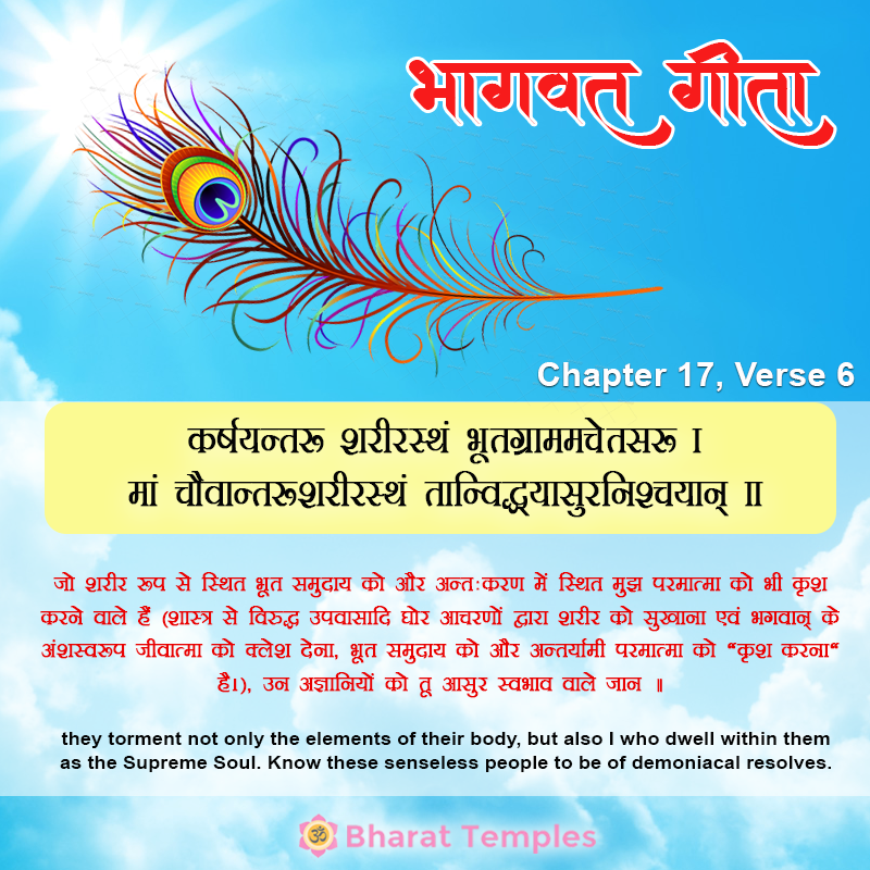 6 (19), Bhagavad Gita: Chapter 17, Verse 6