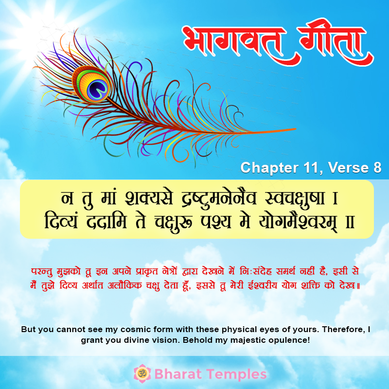 न तु मां शक्यसे द्रष्टमनेनैव स्वचक्षुषा ।दिव्यं ददामि ते चक्षुः पश्य मे योगमैश्वरम्‌ ॥