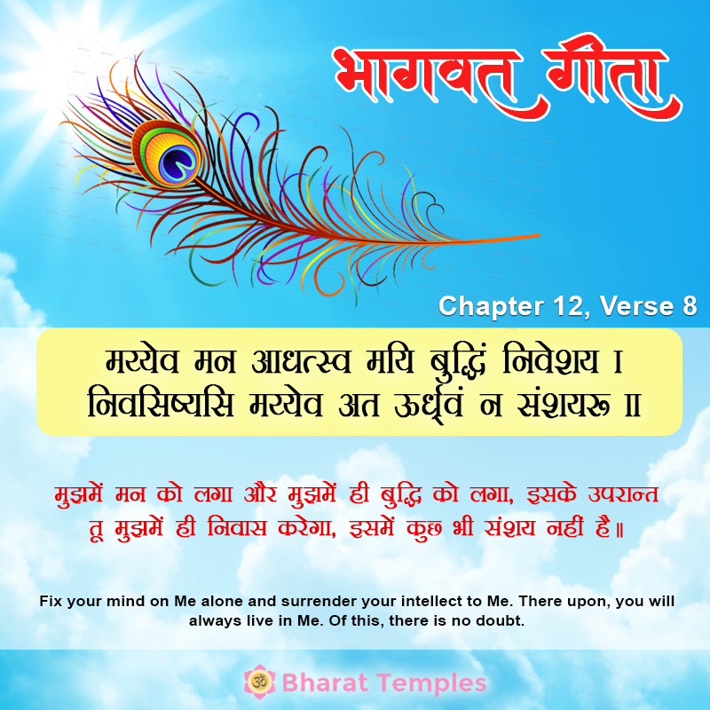 8 (11), Bhagavad Gita: Chapter 12, Verse 8