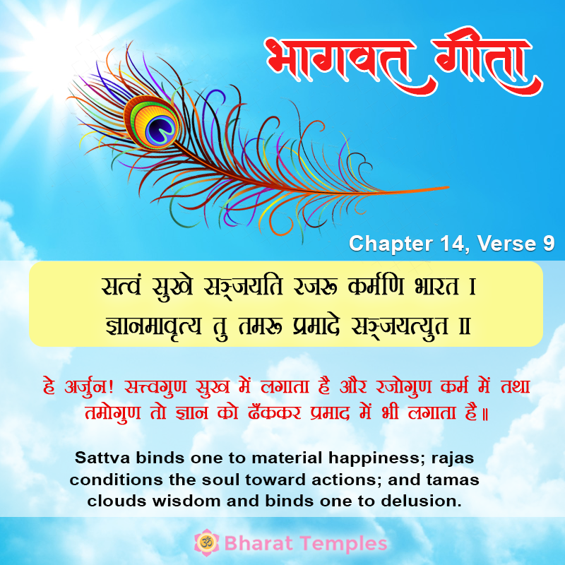9 (13), Bhagavad Gita: Chapter 14, Verse 9