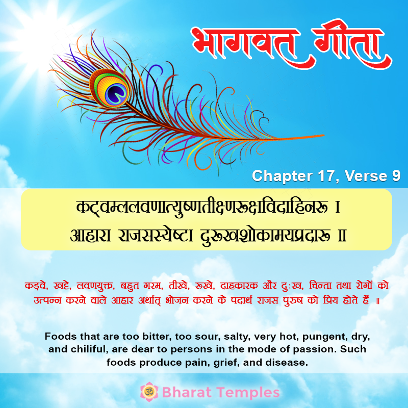 9 (17), Bhagavad Gita: Chapter 17, Verse 9
