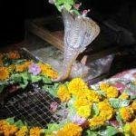 Achaleshwar Mahadev Temple, Si, Achaleshwar Mahadev Temple, Sirohi