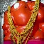 Adasa Ganesha Temple, Nagpur3, Adasa Ganesha Temple, Nagpur