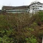 Jivdani Ma, Jivdani Mata, Palghar