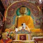 Ladakh Buddhis, Ladakh Buddhist Vihara, Delhi