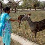 Panchva, Panchvati, Pilani