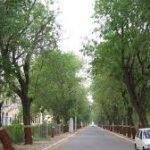 Panchvati,, Panchvati, Pilani