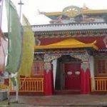 Pemayangtse M, Pemayangtse Monastery, Gangtok