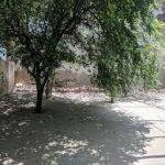 Rasik Bih, Rasik Bihari Temple, Jodhpur