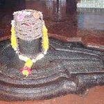 Shri Gushmeshwar Jyoti, Shri Gushmeshwar Jyotirlinga, Ranthambhore