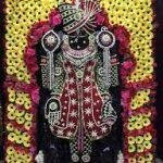 Shrinathji T, Shrinathji Temple, Nathdwara