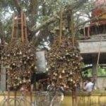 Tilinga Mandir,, Tilinga Mandir, Tinsukia