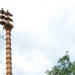 sri vetri, Sri Vertimalai Murugan Temple, Port Blair